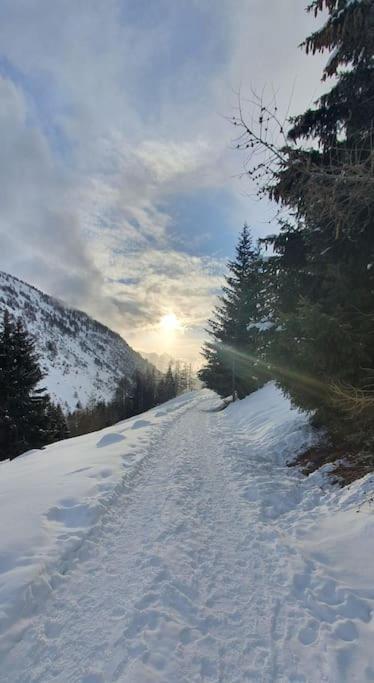 Residenza Sofia - Ponte Di Legno Fraz. Pezzo Villa Buitenkant foto
