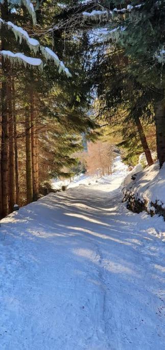 Residenza Sofia - Ponte Di Legno Fraz. Pezzo Villa Buitenkant foto